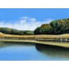 Fake Landscape - Acrylic on Canvas - 4.5 X 11