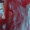 Little Red Riding Hood - 20x30 - Underwater Fine Art on Metal