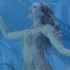 Rose's Return - 20x30 - Underwater Fine Art on Metal