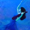 Stradivarius in the Stratosphere - 20x30 - Underwater Fine Art on Metal