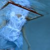 Through The Looking Glass I - 24x36 - Underwater Fine Art on Metal